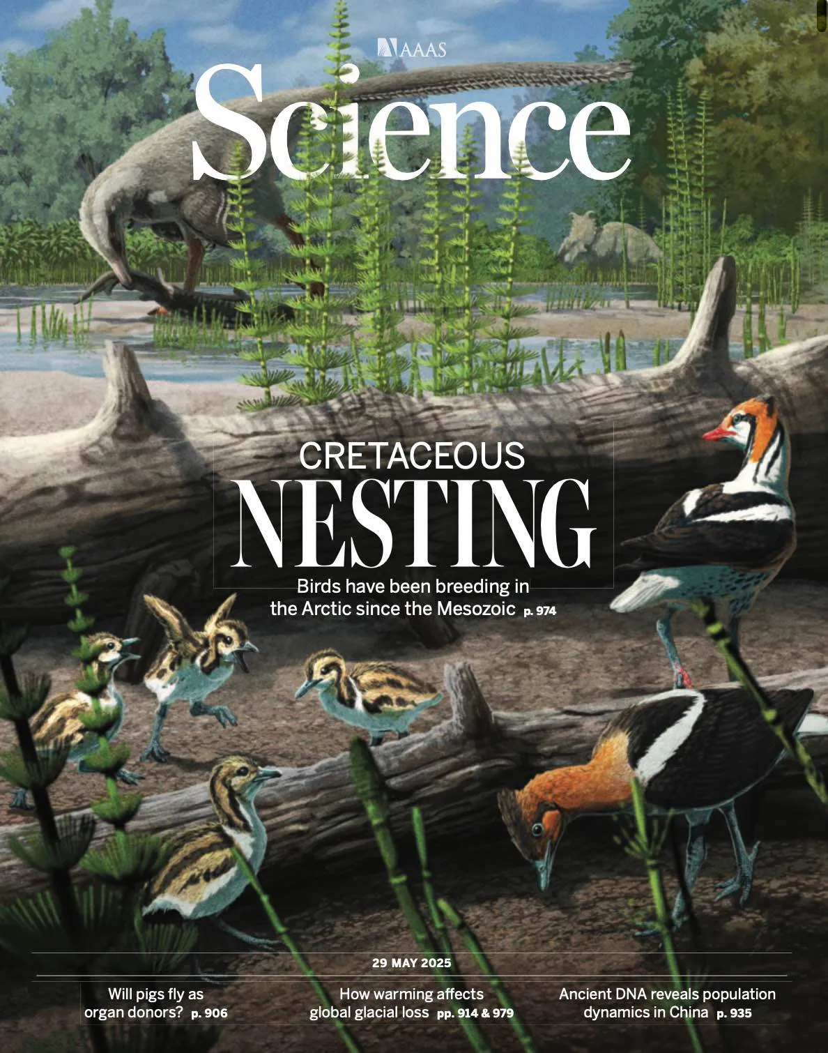 📕 Science-29.05.2025